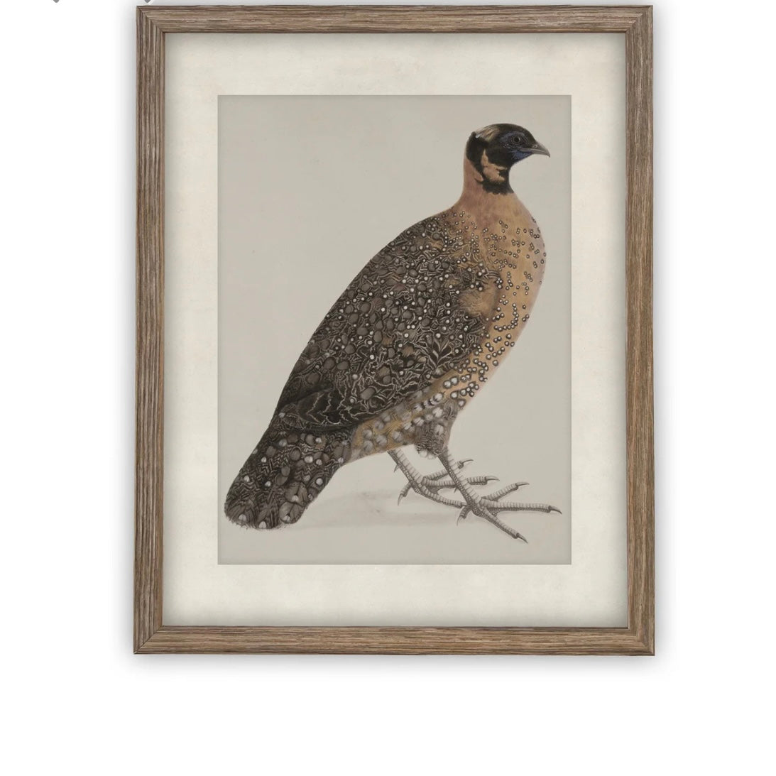 A Penguin Reproduction Vintage Painting