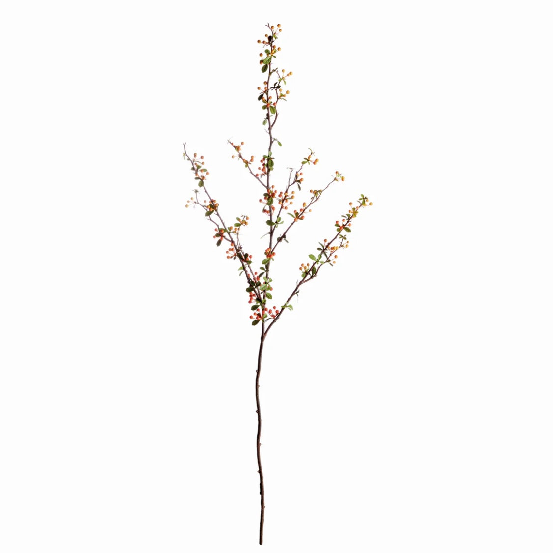 Multi Color Berry Branch - 48.5"