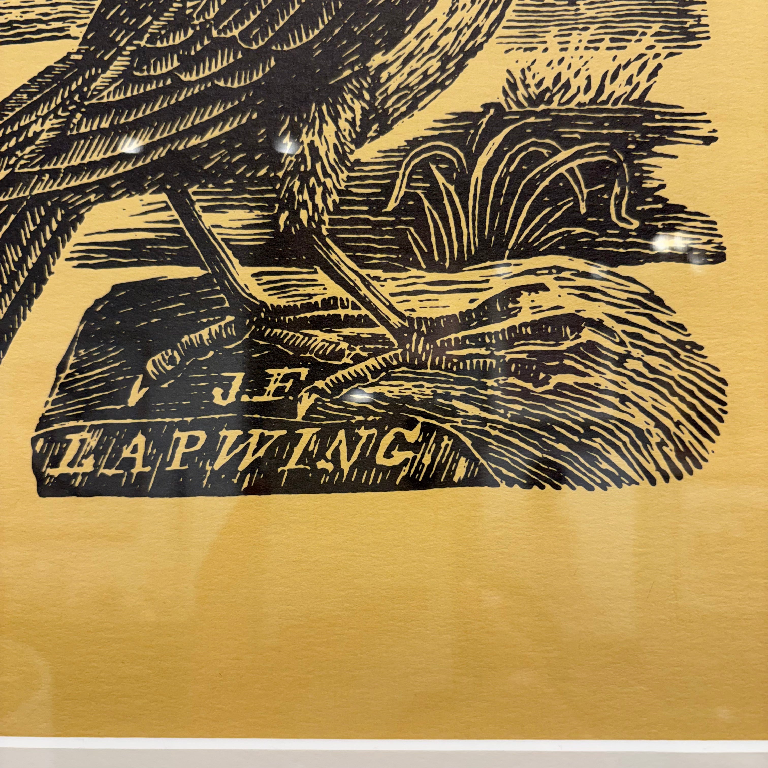 The Lapwing