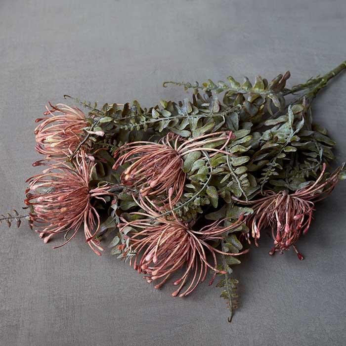 Leucospermum Stem