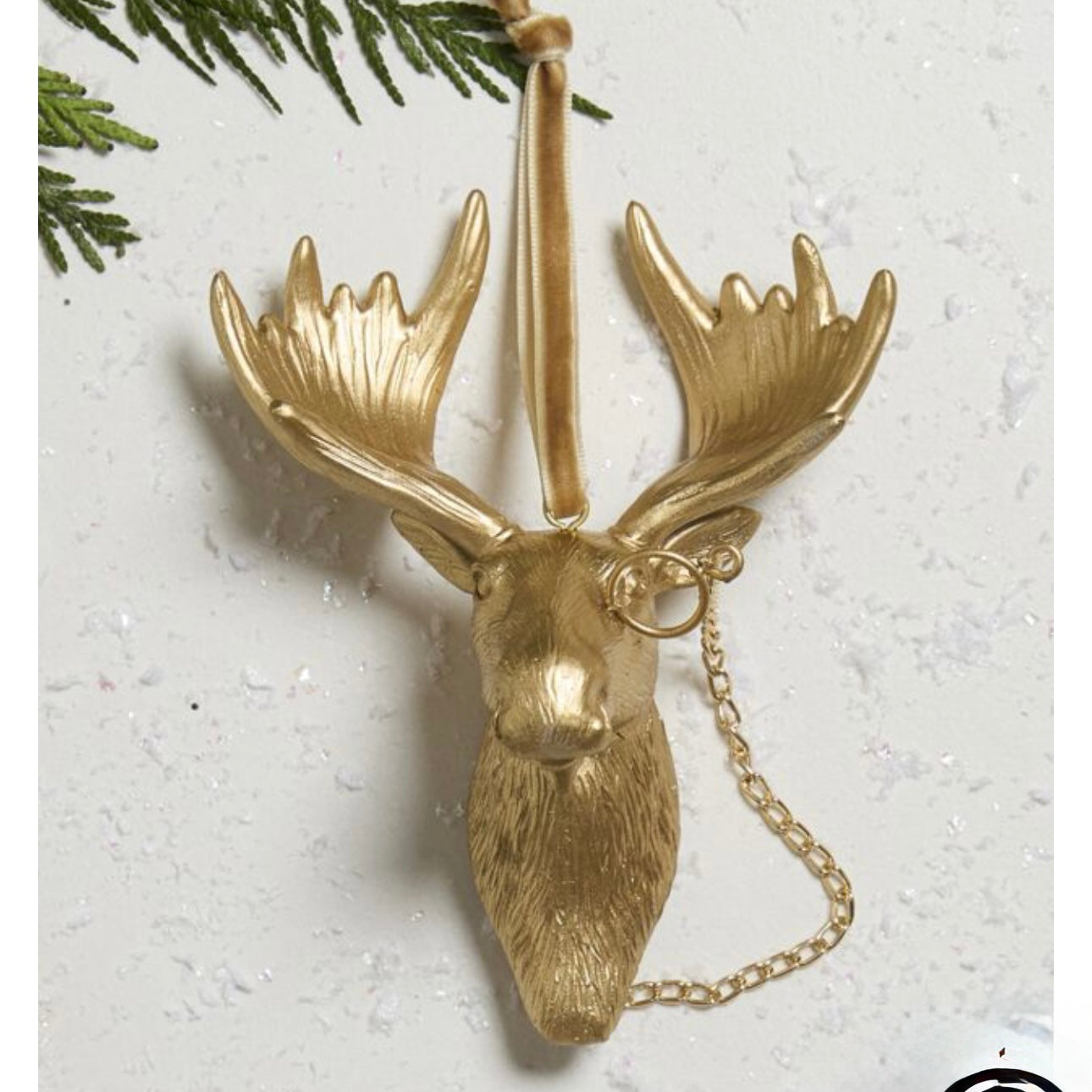 E & E Eugene Gold Ornament