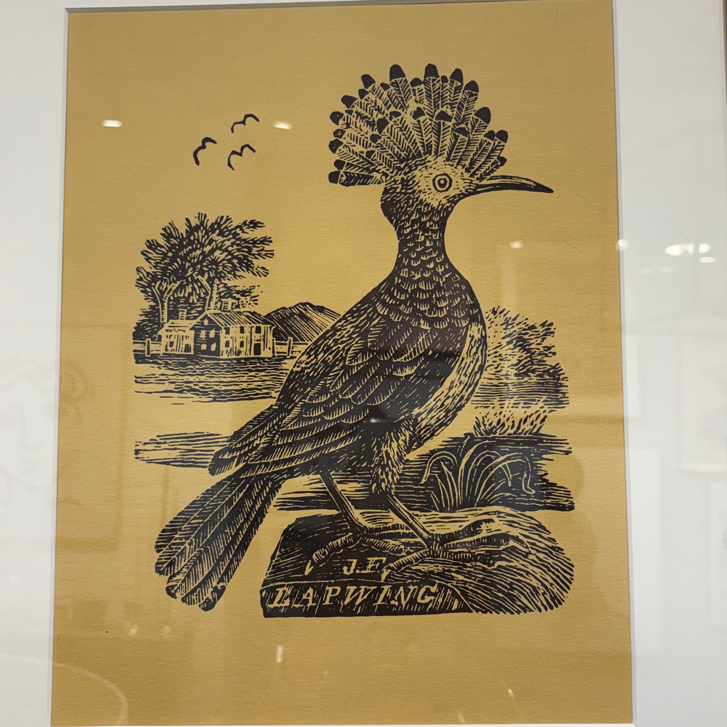 The Lapwing